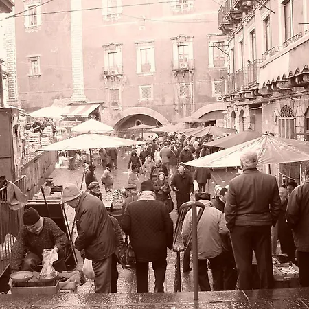 Family House * Katánie